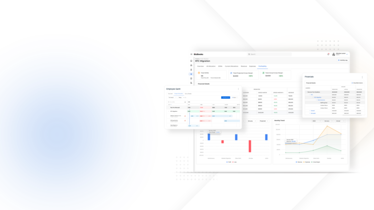 BizBooks: B2B Custom-Built SaaS Application Hosted on AWS